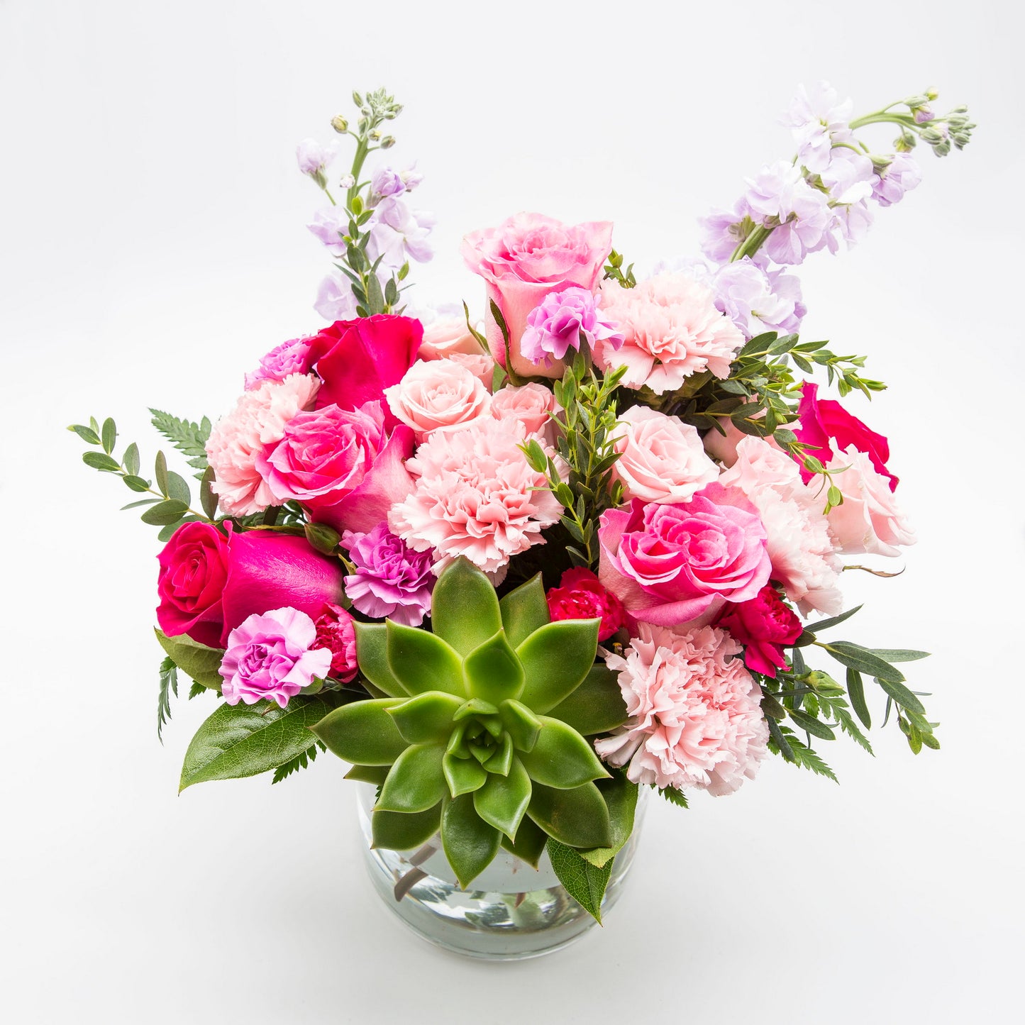 Succulent Sweetheart