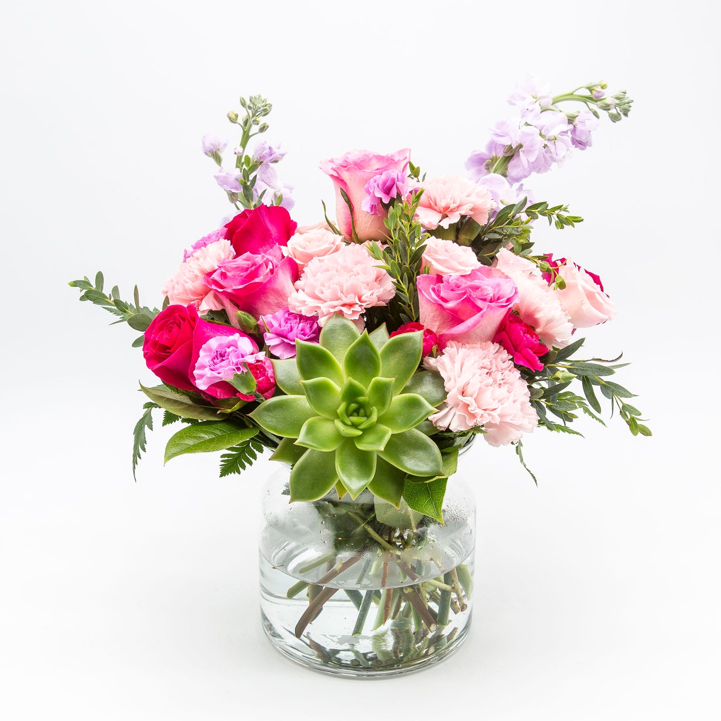 Succulent Sweetheart