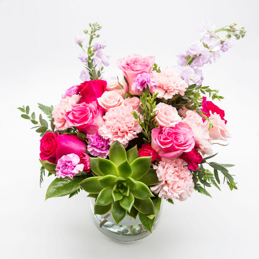 Succulent Sweetheart